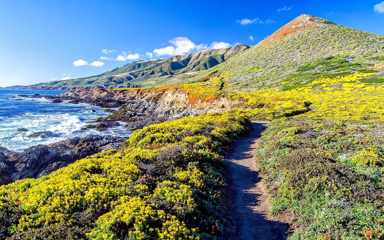 智慧工厂高精度先进